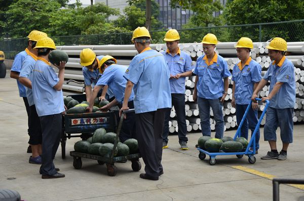 今年会·jnh(中国区)官方网站