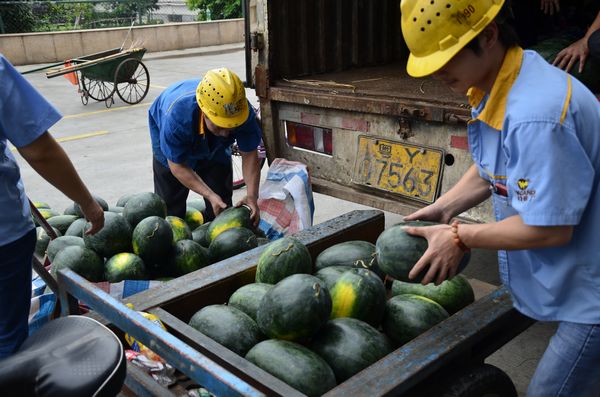 西瓜杀到，炎暑难挡