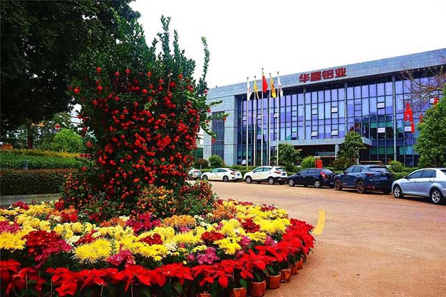 开工大吉 | 今年会jnh集团“虎”力全开，安全迎战2022!