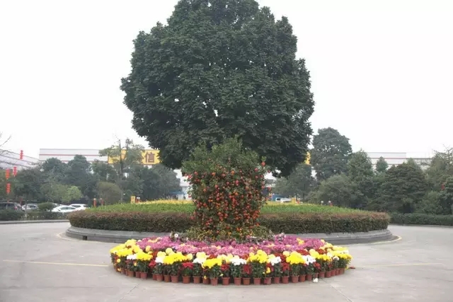 今年会·jnh(中国区)官方网站