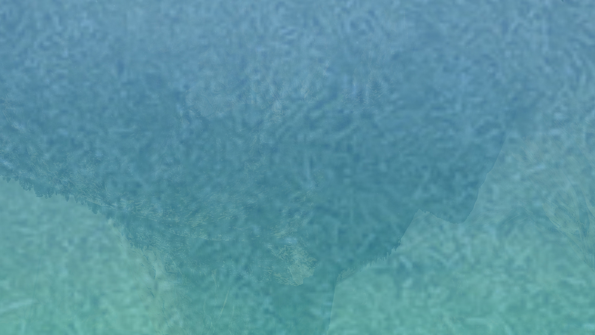 诸侯快讯·ok1133(中国区)官方网站